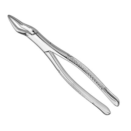 Extracting forceps, american patt., sz. 65