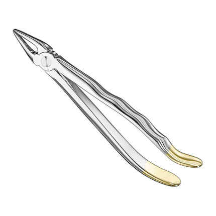 Extracting forceps, anat., size 29, diamond