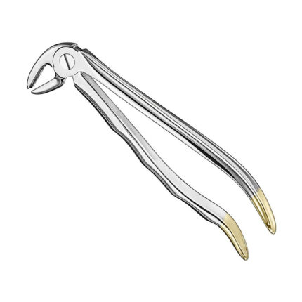 Extracting forceps, anat., size 13, diamond