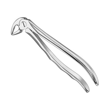 Extracting forceps, anat., sz.33A, nonslip