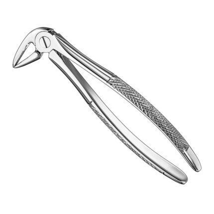 Extracting forceps, engl. patt., size 33L