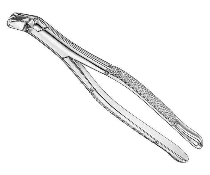Extracting forceps, american patt., size 6