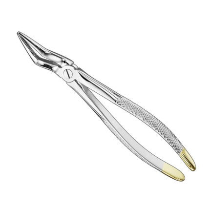 Extracting forceps, engl., sz.51L, diamond