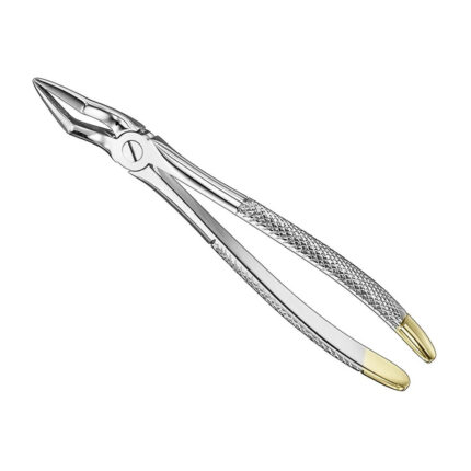 Extracting forceps, engl., sz.51A, diamond