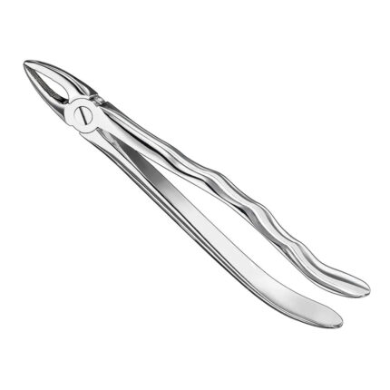 Extracting forceps, anat., sz.29, nonslip