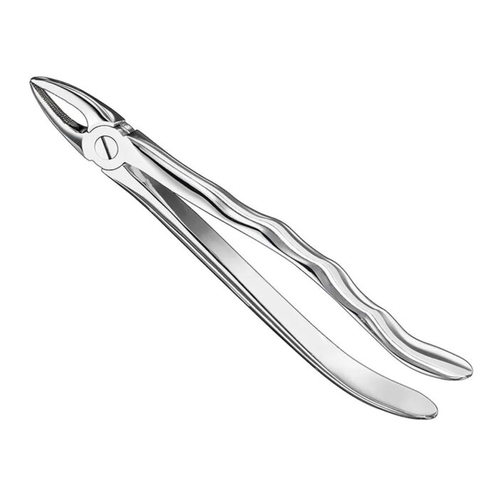 Extracting forceps, anat., sz.29, nonslip