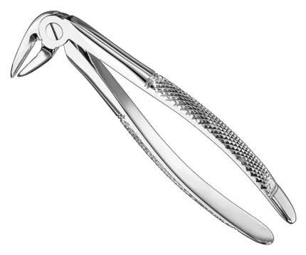 HARTWIG, root forceps, engl., lower