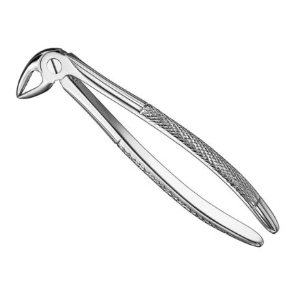Extracting forceps, engl. patt., size 33