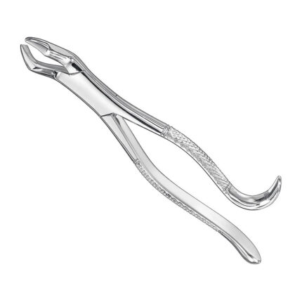 Extracting forceps, american patt., sz.10H
