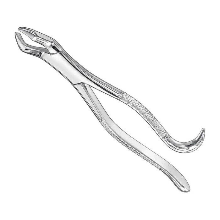 Extracting forceps, american patt., sz.10H