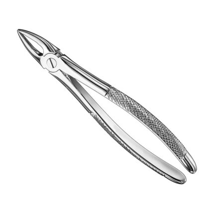Extracting forceps, engl. patt., size 29
