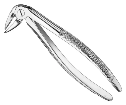 HARTWIG, root forceps, engl., lower