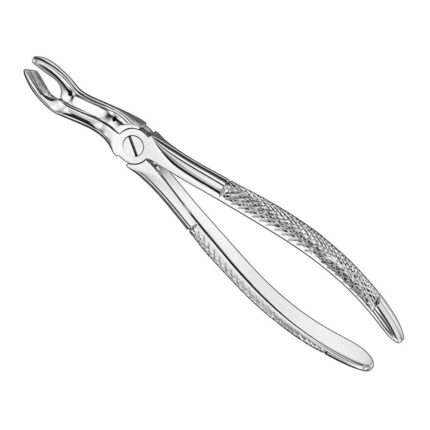Extracting forceps, engl. patt., size 67A