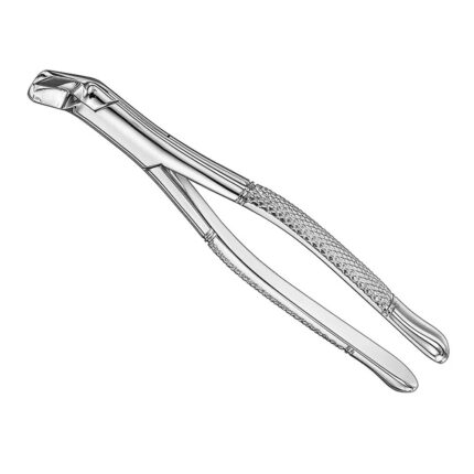 Extracting forceps, american patt., size 6