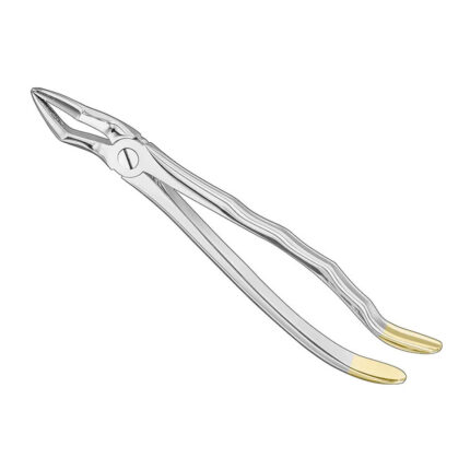 Extracting forceps, anat., size 51, diamond
