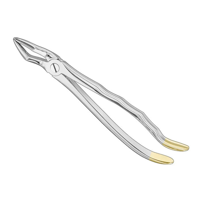 Extracting forceps, anat., size 51, diamond