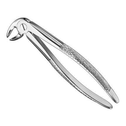 Extracting forceps, engl. patt., size 24