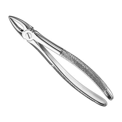 Extracting forceps, engl. patt., size 29
