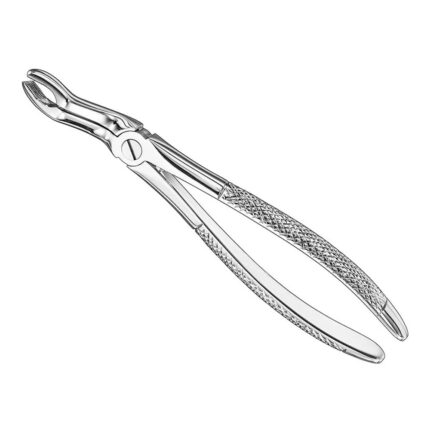 Extracting forceps, engl. patt., size 67