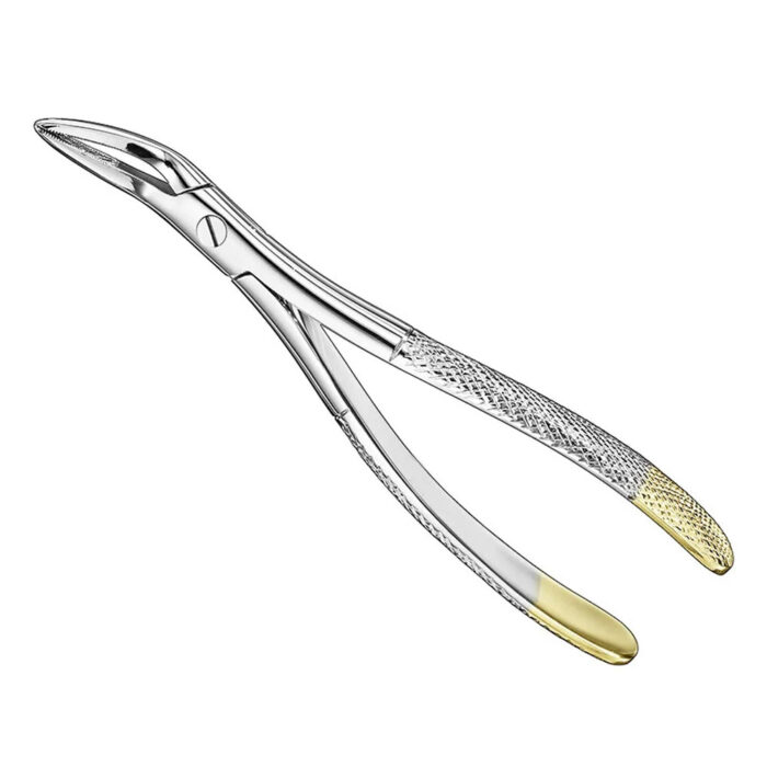 WITZEL, f.fine upper a. lower roots, diam.