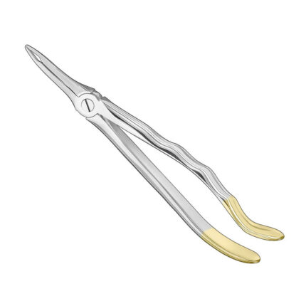Extracting forceps, anat., size 49, diamond