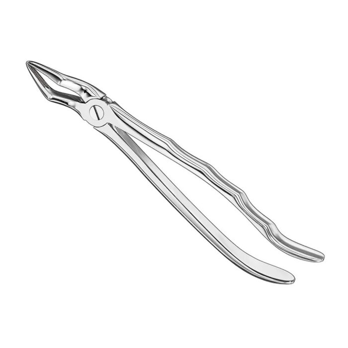 Extracting forceps, anat., size 51