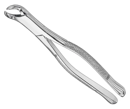 Extracting forceps, american patt., sz.23