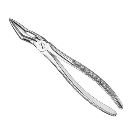 Extracting forceps, engl. patt., size 51L