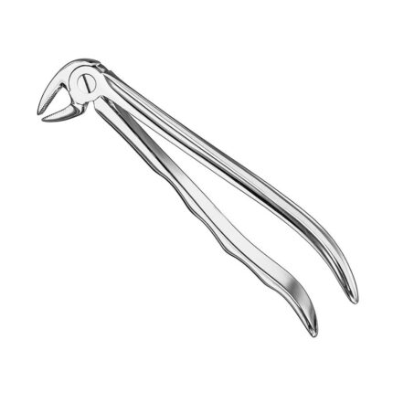 Extracting forceps, anat., sz.13A, nonslip
