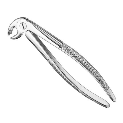 Extracting forceps, engl. patt., size 23