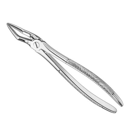 Extracting forceps, engl. patt., size 51A