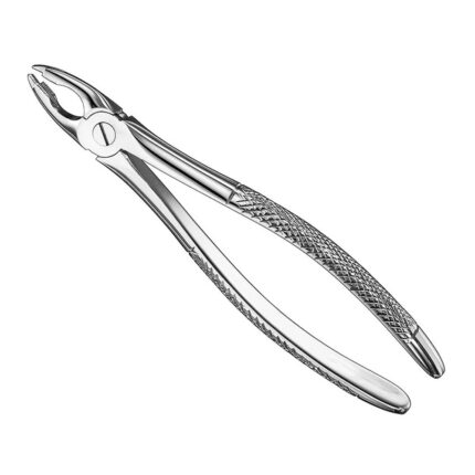 Extracting forceps, engl. patt., size 34