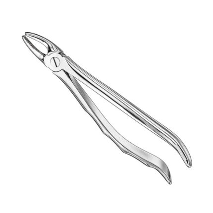 Extracting forceps, anat., size 7, nonslip