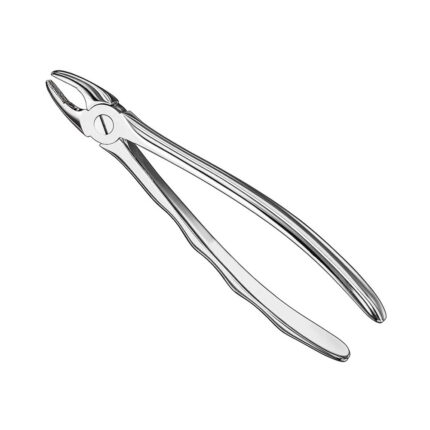 Extracting forceps, anat., size 37