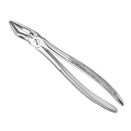Extracting forceps, engl. patt., size 51