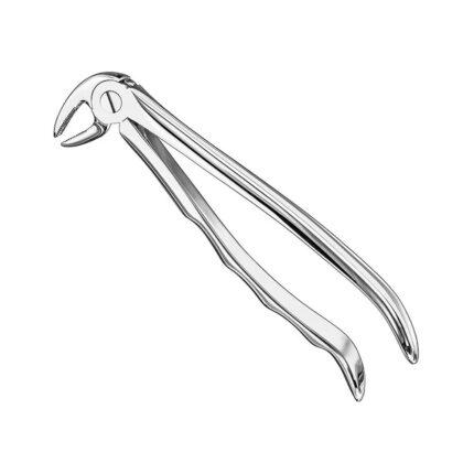 Extracting forceps, anat., sz.13, nonslip
