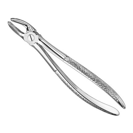 Extracting forceps, engl. patt., size 17