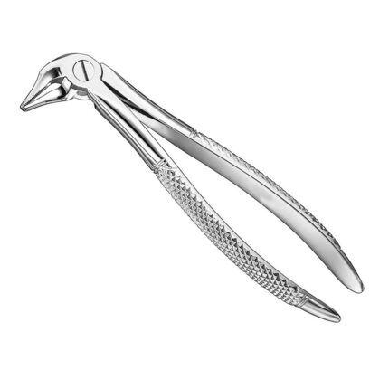 Extracting forceps, engl. patt., size 333S