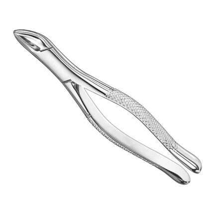 Extracting forceps, american patt., sz. 62