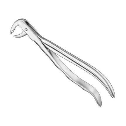 Extracting forceps, anat., size 99 1/4