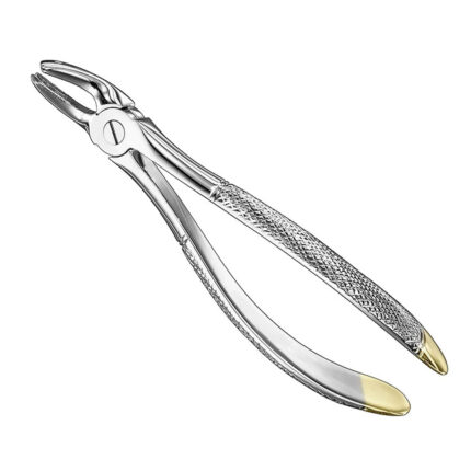 Extracting forceps, engl., sz.39R, diamond