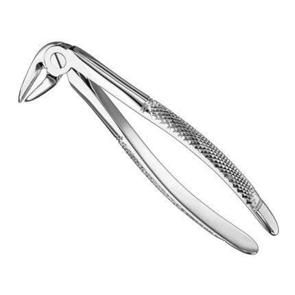 HARTWIG, root forceps, engl., lower
