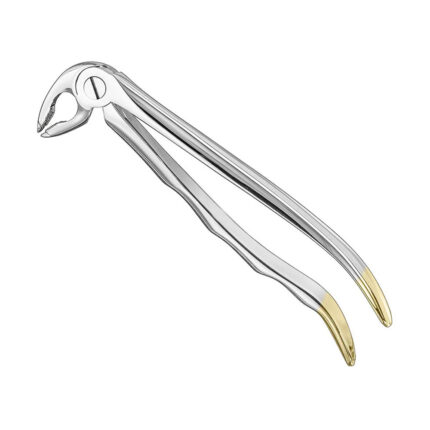 Extracting forceps, anat., size 36, diamond
