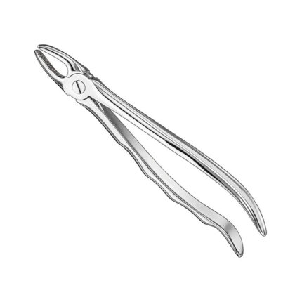 Extracting forceps, anat., size 2, nonslip