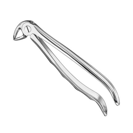 Extracting forceps, anat., size 33 A