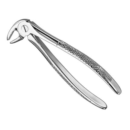 Extracting forceps, engl. patt., size 13S
