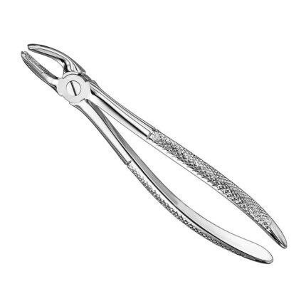 Extracting forceps, engl. patt., size 17