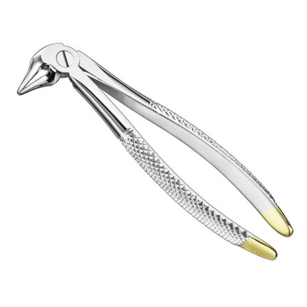 Extracting forceps, engl., sz. 33S, diamond