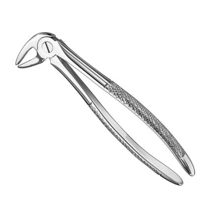Extracting forceps, engl. patt., size 13A