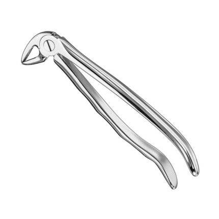 Extracting forceps, anat., size 33